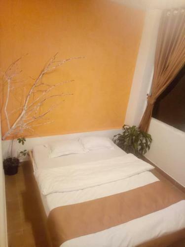 Hotel Homestay Dia Du