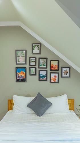 Maymimi Villa Hotel In Dalat