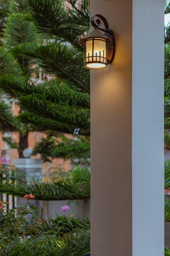 Maymimi Villa Hotel In Dalat