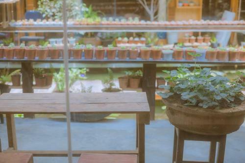 Hostal G? Th�ng Homestay