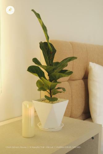 Hotel Ch�ch B�ng's House