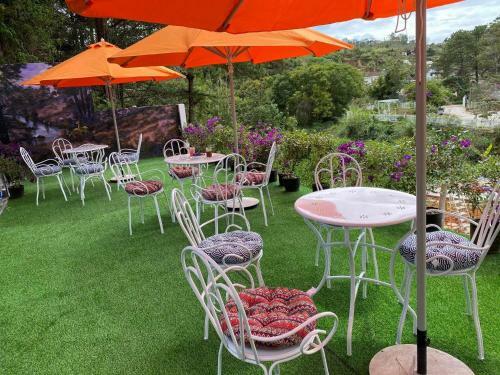 Bed & Breakfast Csltdl & Coffee S�n V??n V??ng B?o Long ?� L?t