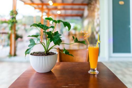 S�c Con Homestay & Coffee