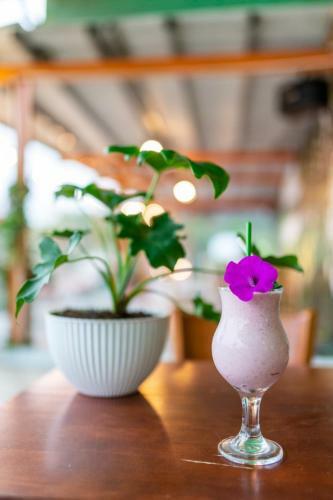 S�c Con Homestay & Coffee