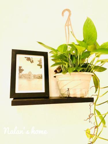 Hostal Nalan's Home 6