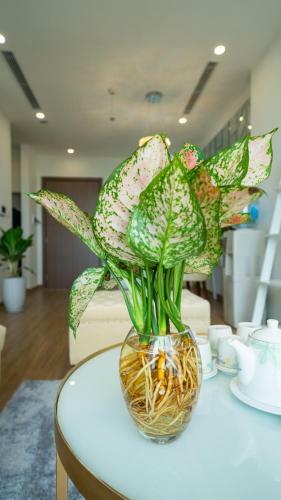 Vinhomes Skylake Luxury Apartment Hanoi