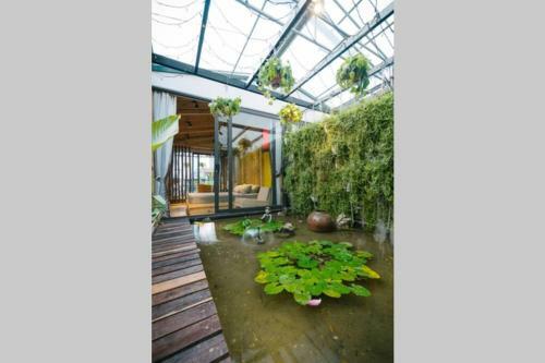 Apartamento Lotushomestayhanoi - Oasis View 1