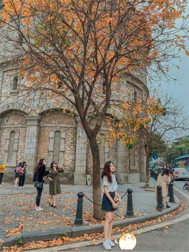 Apartamento Aura Home Whole French Villa