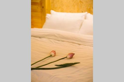 Apartamento Lotushomestayhanoi - Pagoda View 1