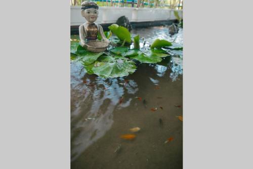 Apartamento Lotushomestayhanoi - Pagoda View 1