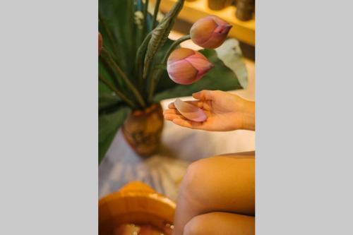 Apartamento Lotushomestayhanoi - Pagoda View 1