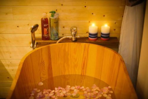 Apartamento Lotushomestayhanoi - Pagoda View 1