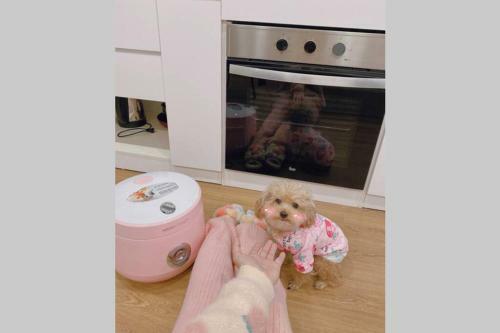 Apartamento 1pn/vincom Tr?n Duy H?ng/balcony Housing