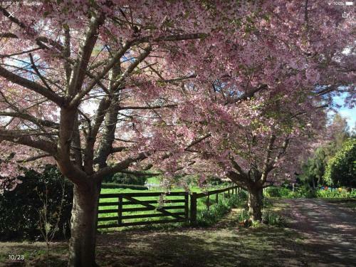 The Flower Nest Retreat