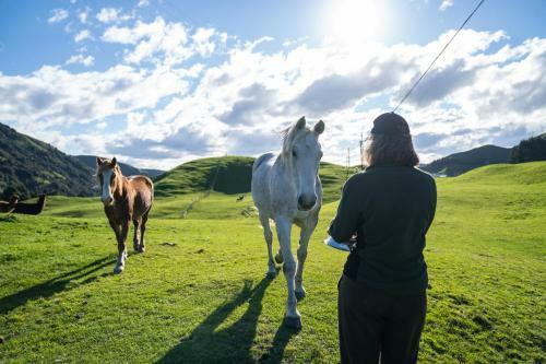 Agroturismo Mahaanui Quarters Farmstay