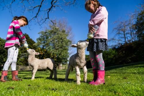 Agroturismo Mahaanui Quarters Farmstay