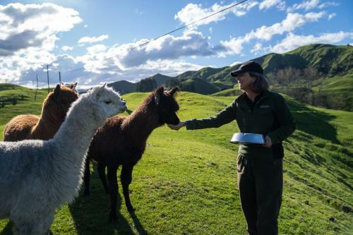 Agroturismo Mahaanui Quarters Farmstay
