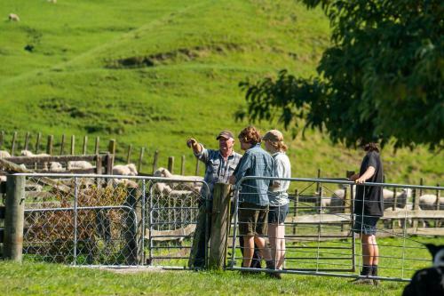 Agroturismo Mahaanui Quarters Farmstay