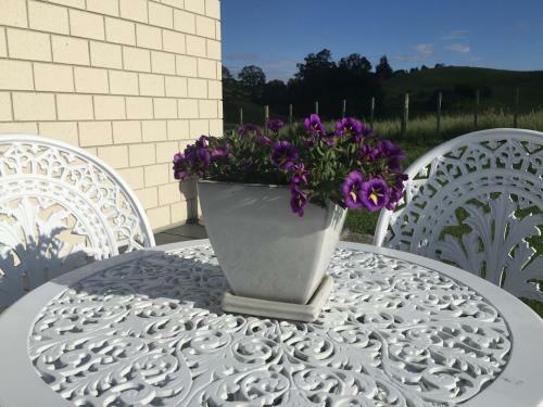 Hostal Veld View Bed And Breakfast