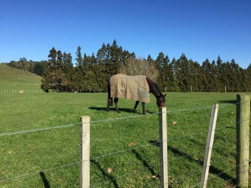 Hostal Veld View Bed And Breakfast