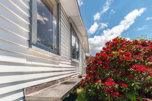 On The Fly At Kutai - Turangi Holiday Home