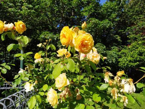 Apartamento Arles Historical Homestead