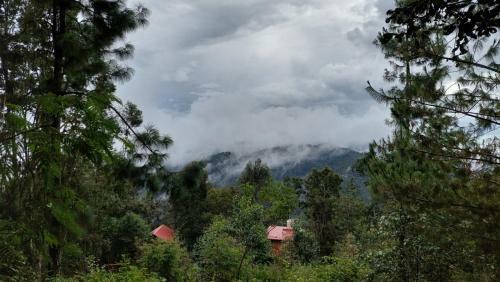 Caba�a En El Bosque De San Jos� Del Pac�fico