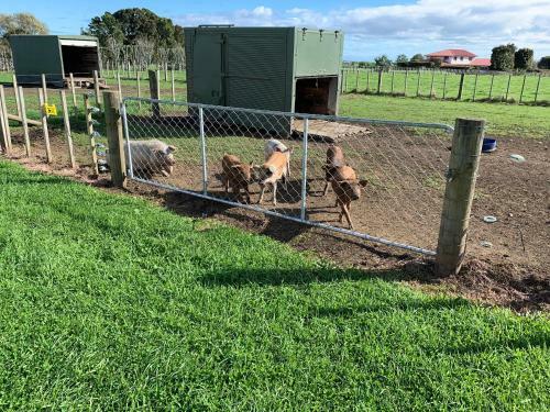 Brixton Farm Stay