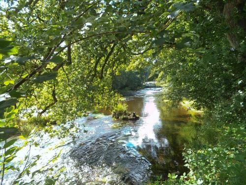 Burnfoot Of Cluden
