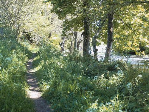 Burnfoot Of Cluden