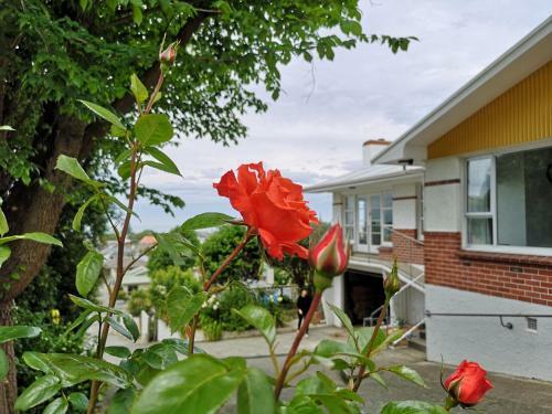 Hello Seaview! 4 Brs House In Central Location!