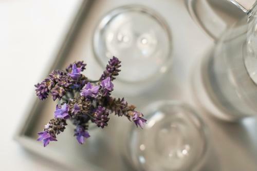 The Vicarage Boutique Bed And Breakfast Oamaru