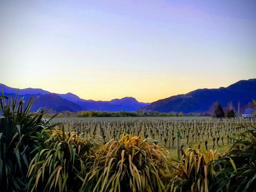 Te Waiharakeke Holiday Home