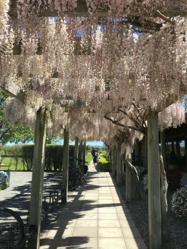 Te Waiharakeke Holiday Home