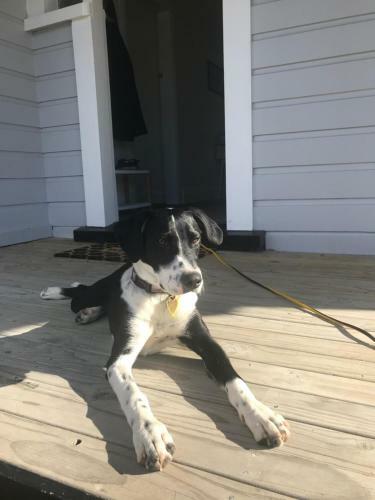 Te Waiharakeke Holiday Home