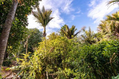 Boho Hill Waiheke Island