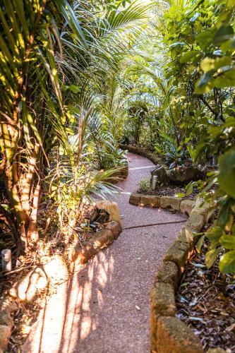 Boho Hill Waiheke Island