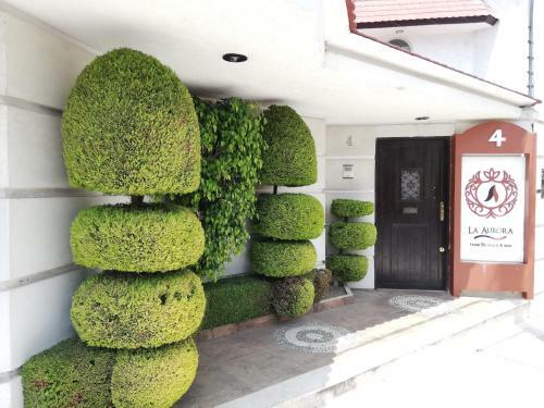 La Aurora Hotel Boutique Like Home
