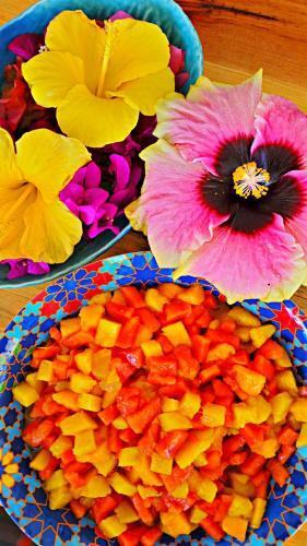 Hotel Villa Star Of The Sea