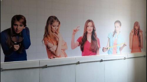 Posada The Woodlands Hotel