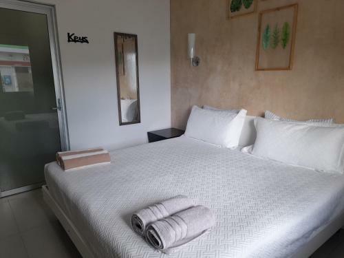 Room Palmera, Rooftop-pool