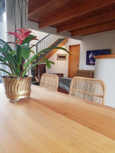 Villa 10 - Central Stylish Apartment