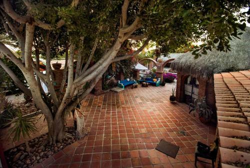 Bed & Breakfast Casa Xochitl