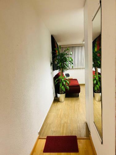 Apartamento C�modo Y Pintoresco Depa Al Sur de La Ciudad!