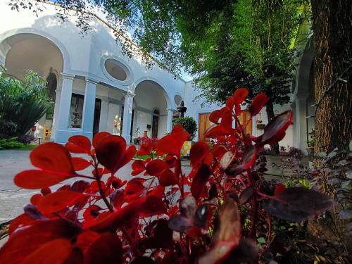 Hotel Tlaquepaque Pueblito
