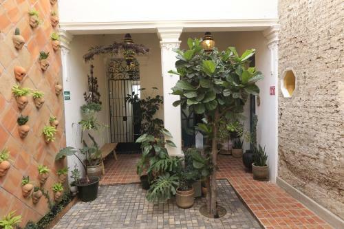 Hotel Casa Morelos By Barrio Mexico