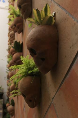 Hotel Casa Morelos By Barrio Mexico