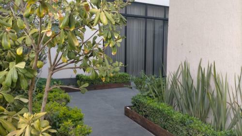 Apartamento Depa Con Alberca Zona Americana Chapultepec