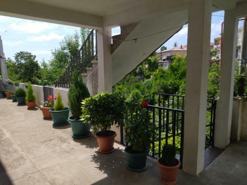 Hostal White House Avtandil&nino