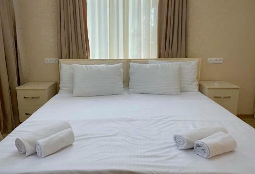 Hotel Central Kvareli